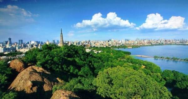 學習國外苗木行業(yè)經(jīng)驗，搶先了解國內市場動態(tài)