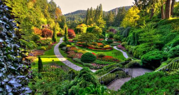 學習國外苗木行業(yè)經(jīng)驗，搶先了解國內市場動態(tài)