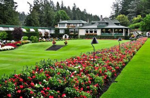 學習國外苗木行業(yè)經(jīng)驗，搶先了解國內市場動態(tài)