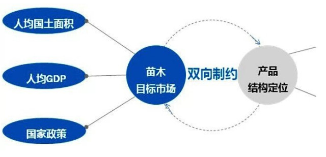 學習國外苗木行業(yè)經(jīng)驗，搶先了解國內市場動態(tài)