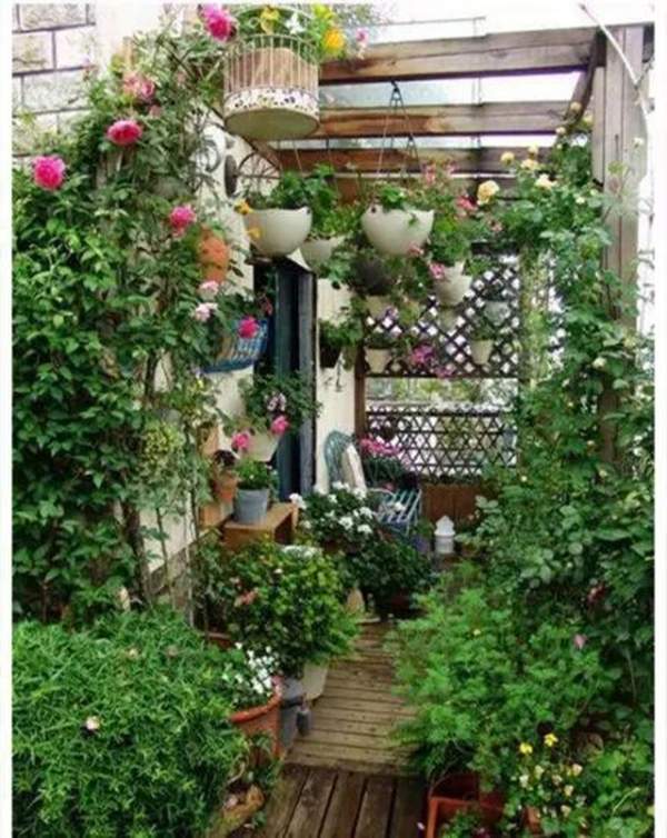 陽(yáng)臺(tái)綠化 陽(yáng)臺(tái)綠化