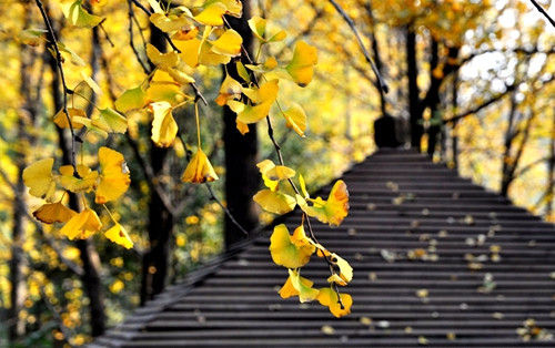 點(diǎn)擊圖片進(jìn)入下一頁(yè)