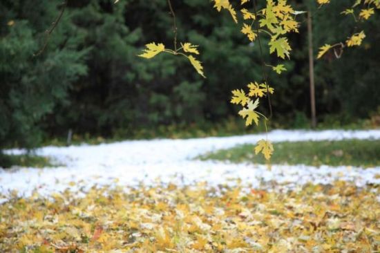 點(diǎn)擊圖片進(jìn)入下一頁(yè)