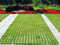 草坪磚植草綠化效果