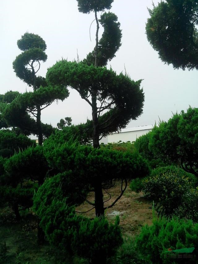 1648601882911812.jpg 1648601882911812.jpg