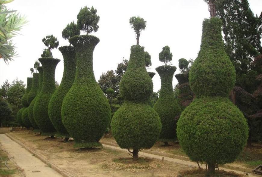 1648602798248869.jpg 1648602798248869.jpg