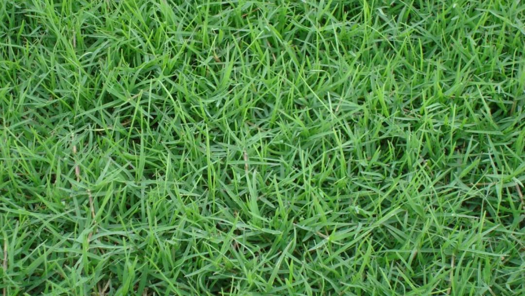 1672622199414150.jpg 微信圖片_20220820070538.jpg