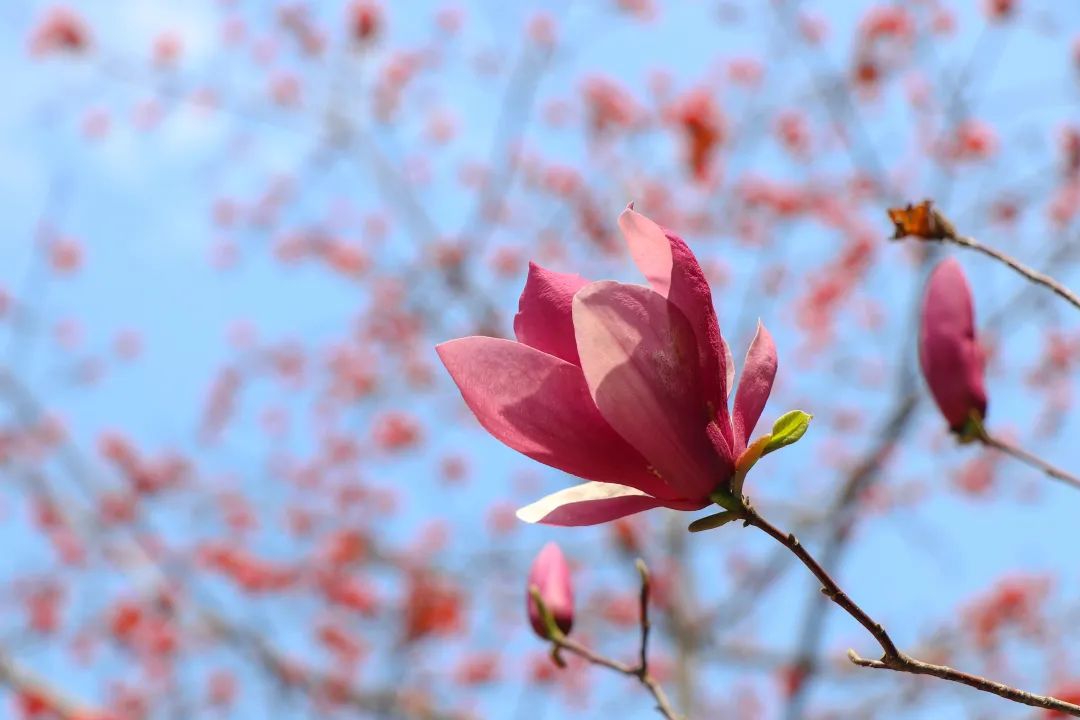 1672622305873790.jpg 微信圖片_20221125235203.jpg