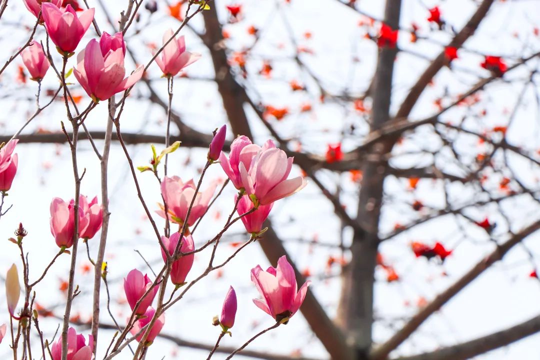 1672622327271519.jpg 微信圖片_20221125235219.jpg