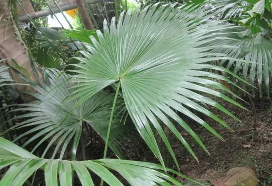 1673144714324307.jpg 微信圖片_20221029111922.jpg