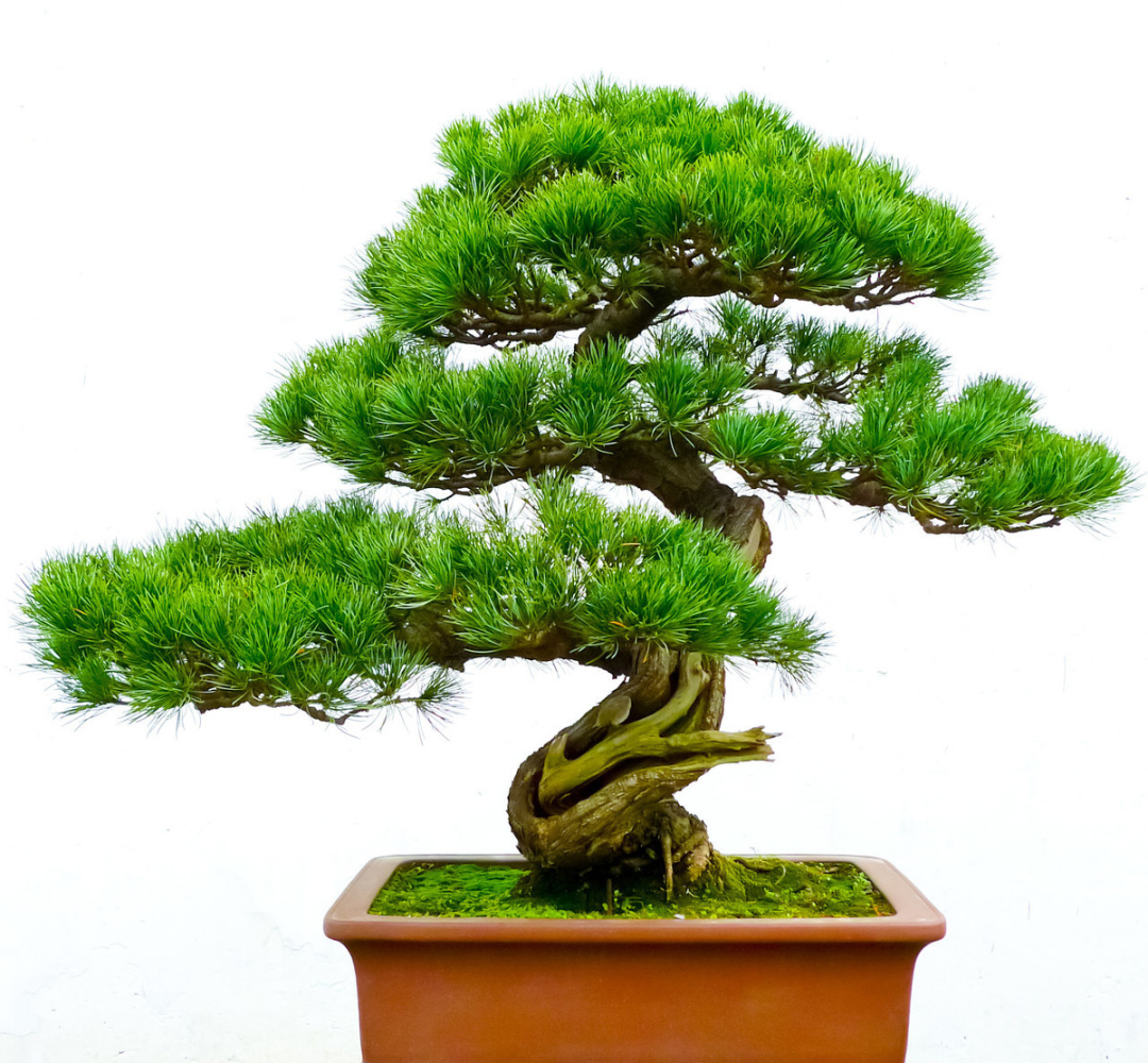 1673144777400792.png 微信圖片_20221029115946.png