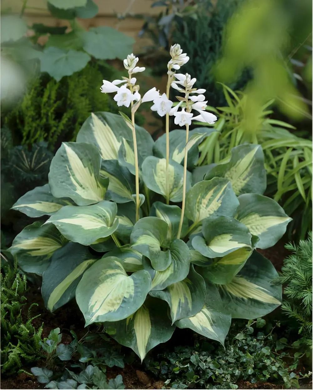 1673144931589161.jpg 微信圖片_20230108102811.jpg