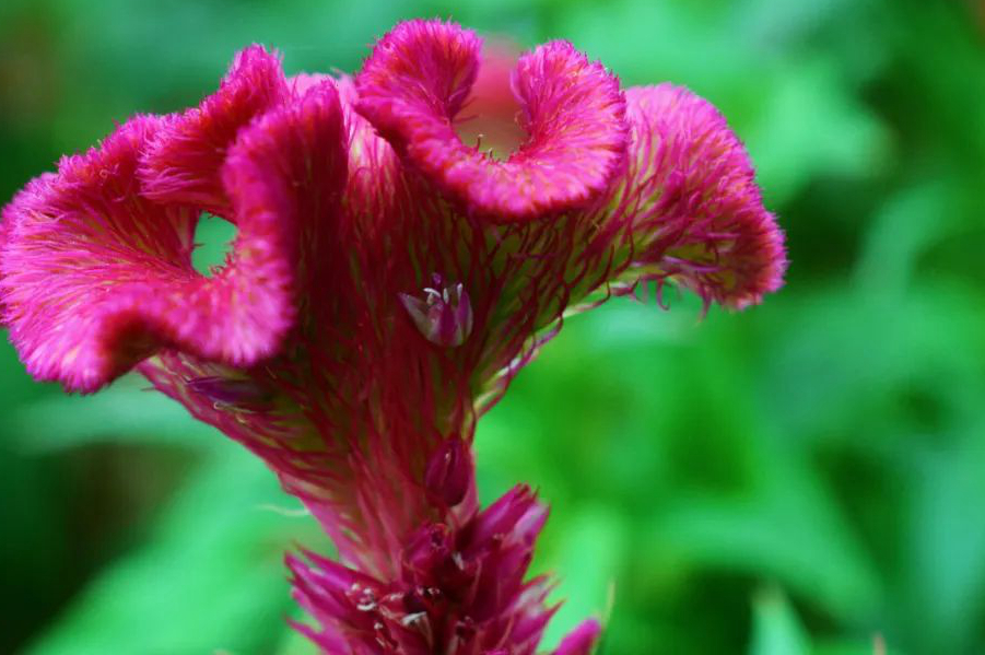 1673153608201880.jpg 微信圖片_20230108125200.jpg