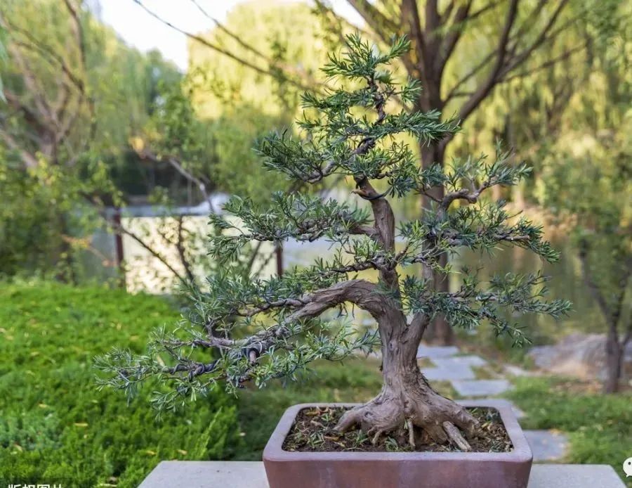 1673557991944612.jpg 微信圖片_20230107163739.jpg