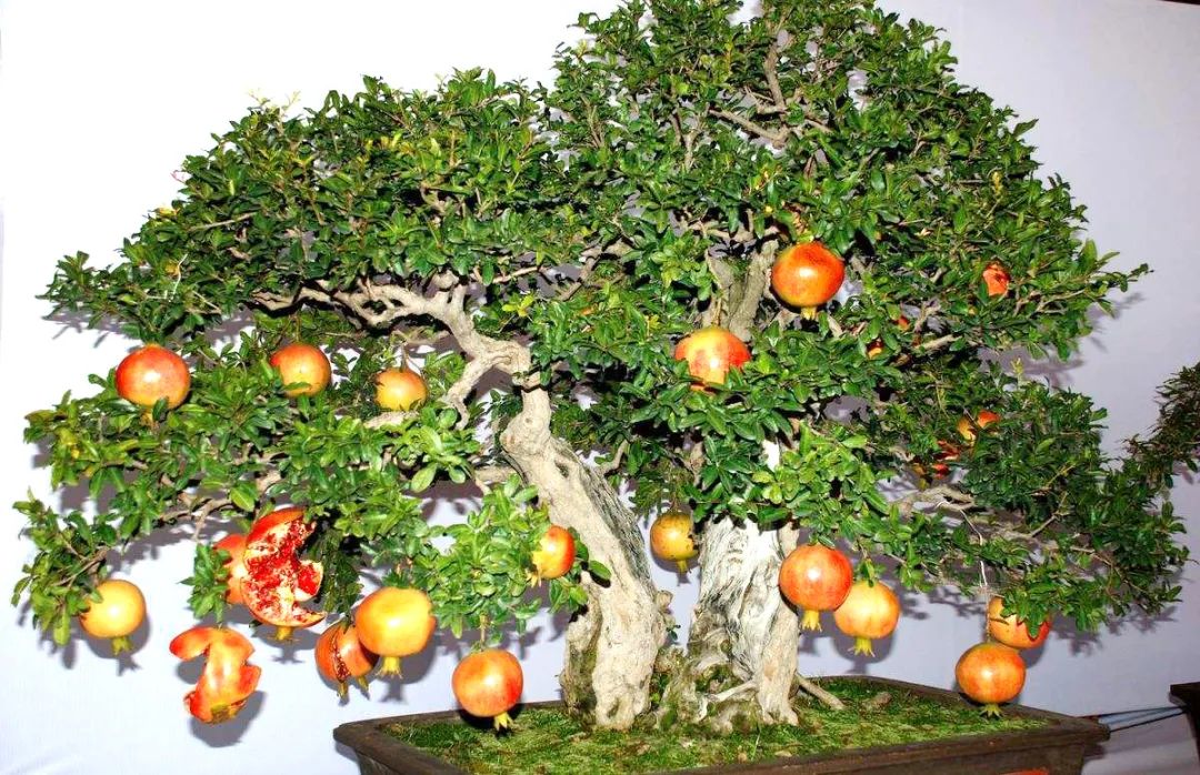 1673558001767404.jpg 微信圖片_20230107163806.jpg