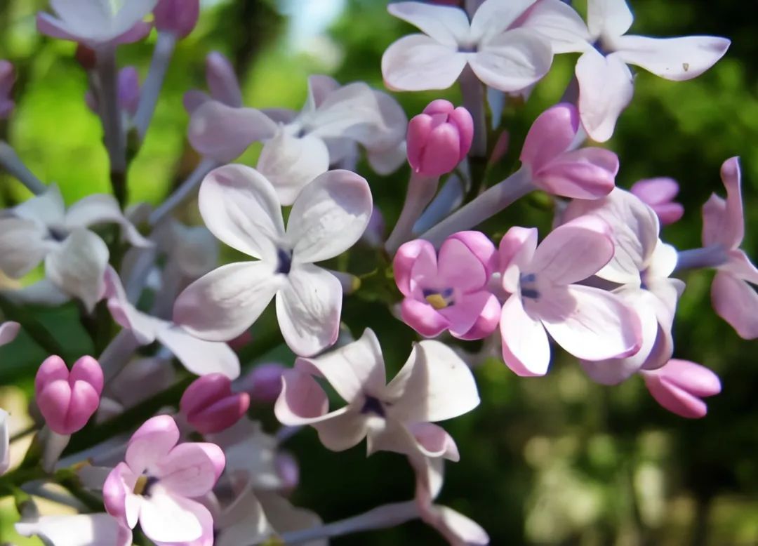 1673558090744692.jpg 微信圖片_20221104193354.jpg