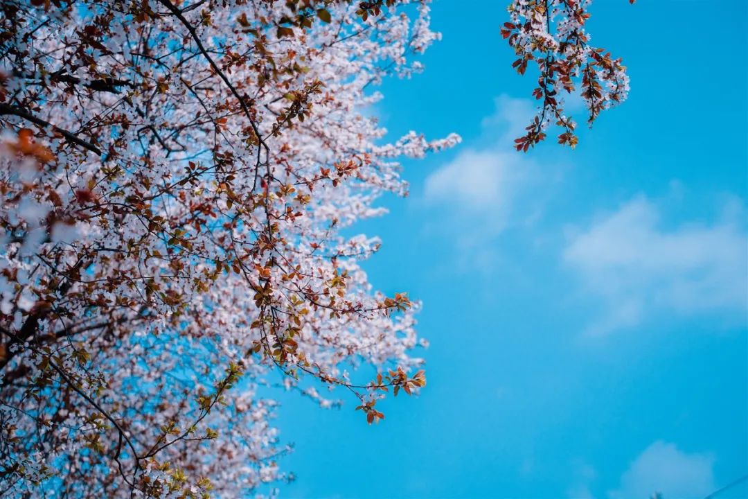 1673560077475642.jpg 微信圖片_20230107195010.jpg