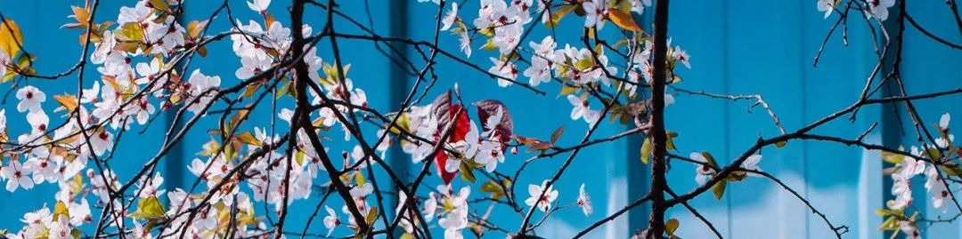 1673560086516604.jpg 微信圖片_20230107195013.jpg