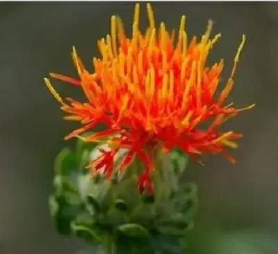 1674482895751446.jpg 微信圖片_20221027162225.jpg