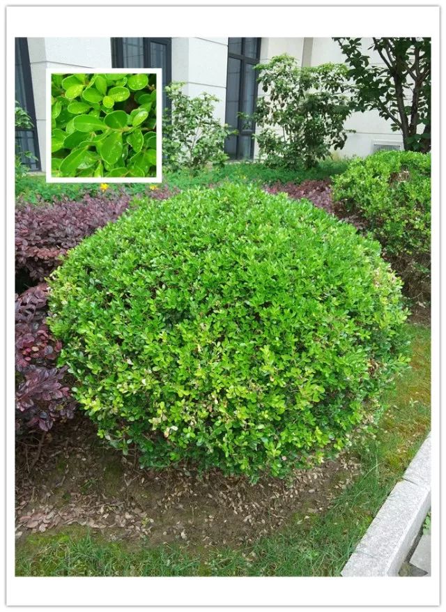 1674483184396566.jpg 微信圖片_20230112201347.jpg