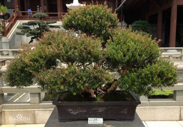 1674483195693936.jpg 微信圖片_20230112201402.jpg