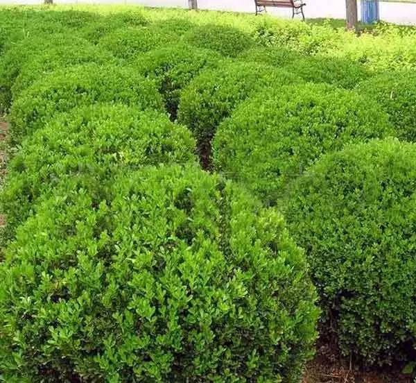 1674483202828061.jpg 微信圖片_20230112201404.jpg