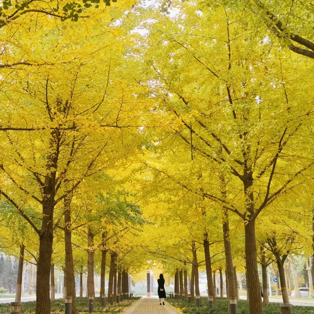 1674484311169891.jpg 微信圖片_20221126001420.jpg