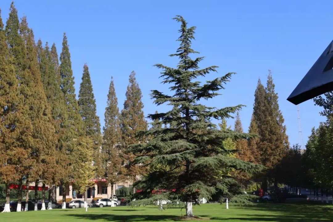 1674484469984873.jpg 微信圖片_20230123223359.jpg