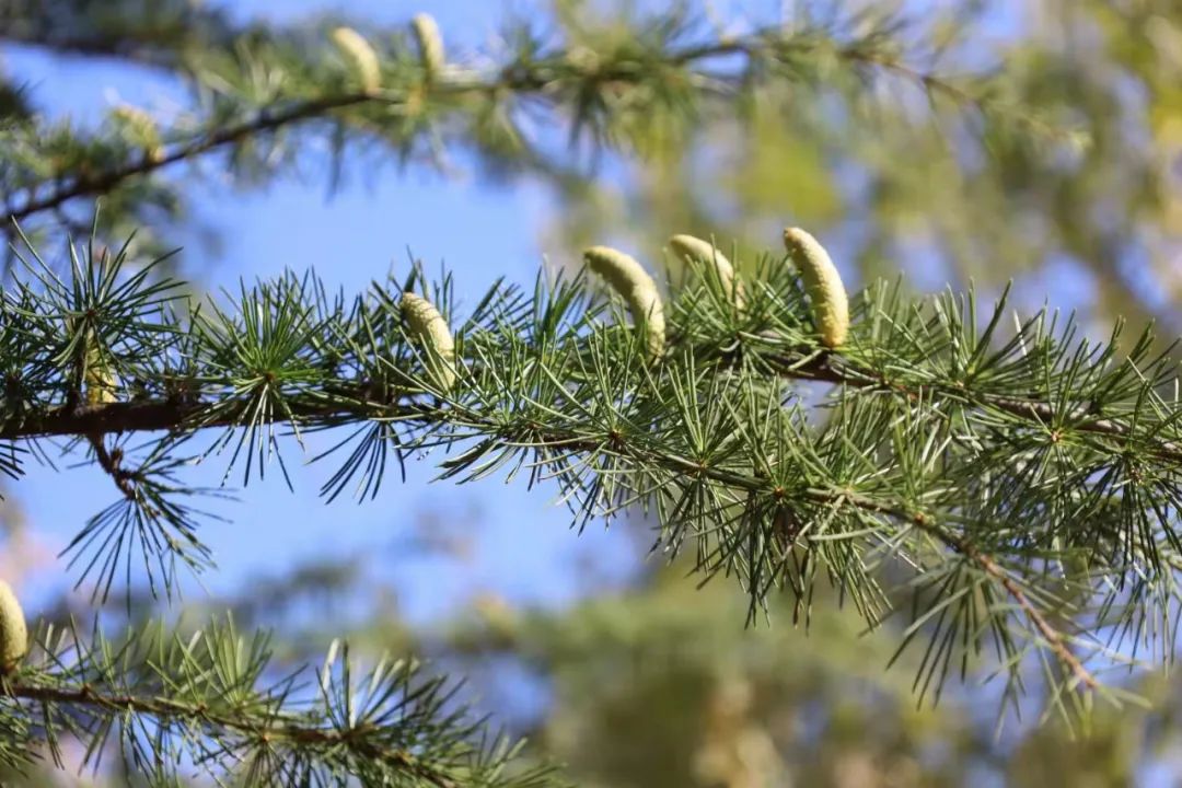 1674484477317282.jpg 微信圖片_20230123223355.jpg