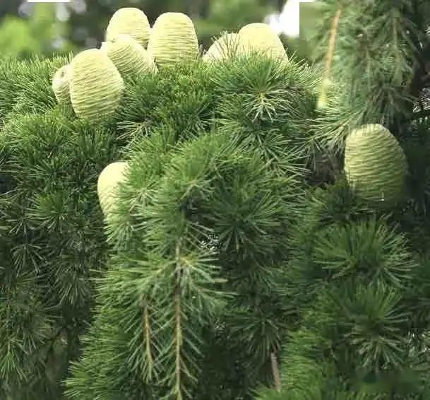 1674484487592523.jpg 微信圖片_20230123223350.jpg