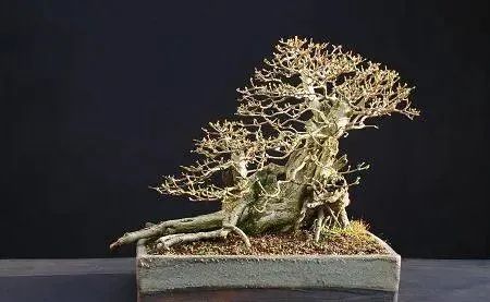 1675289517397065.jpg 微信圖片_20230106060034.jpg