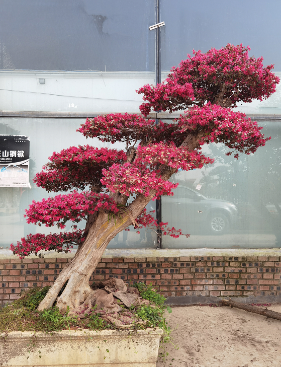 1675292110224436.png 微信圖片_20230201043812.png