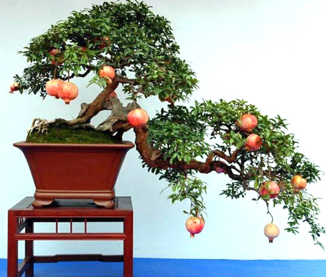 1675696111493194.jpg 微信圖片_20230107163820.jpg