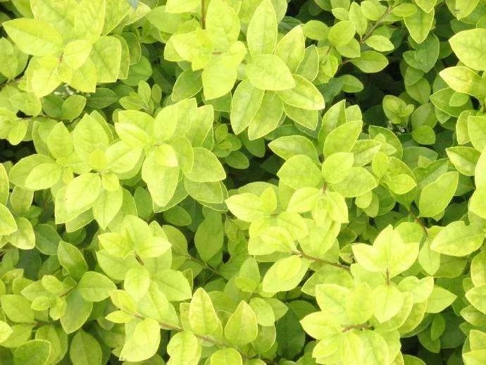 1675697032359632.jpg 微信圖片_20230108134257.jpg