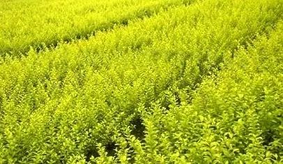 1675697038223043.jpg 微信圖片_20230108134301.jpg