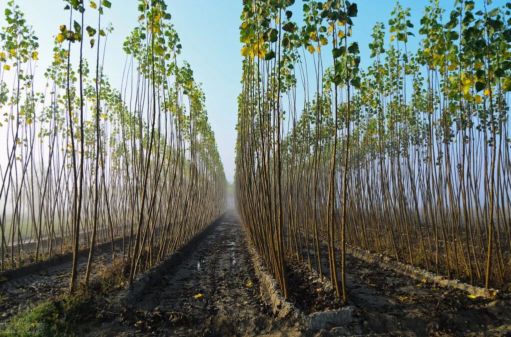 1675697136646735.jpg 微信圖片_20230108134016.jpg