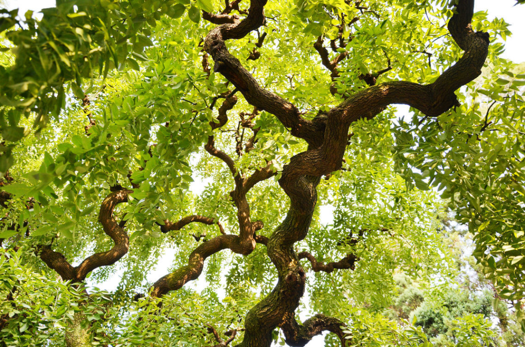 1675697215916546.png 微信圖片_20230204140514.png