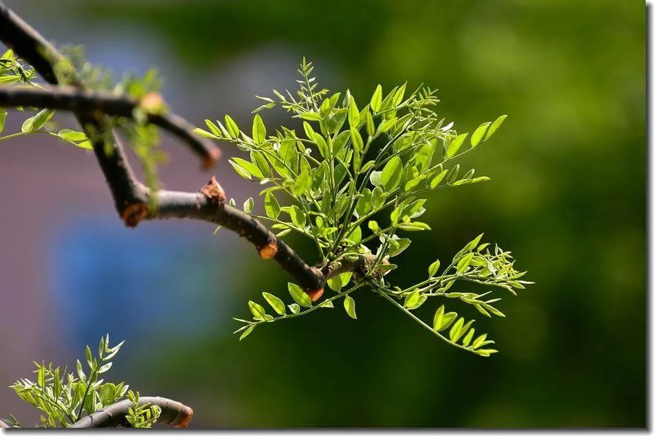 1675697239685486.jpg 微信圖片_20230204140529.jpg