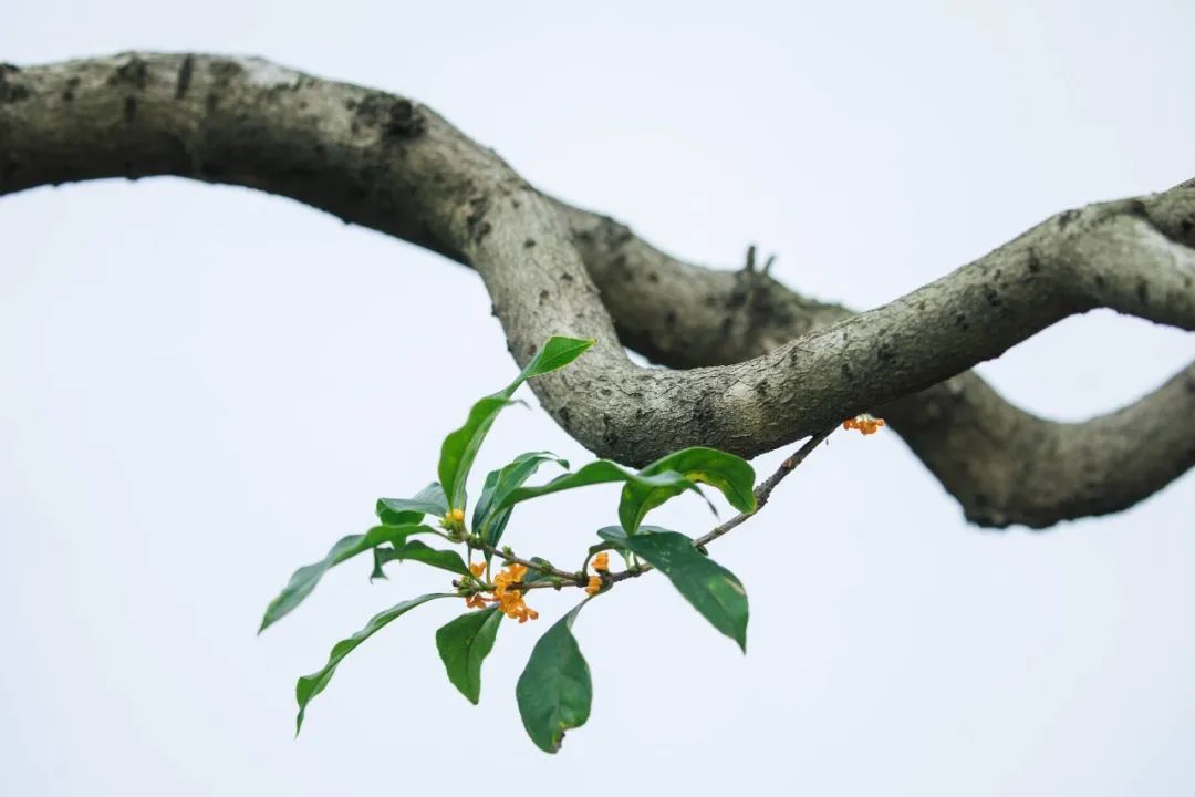 1675701682180872.jpg 微信圖片_20221026222420.jpg