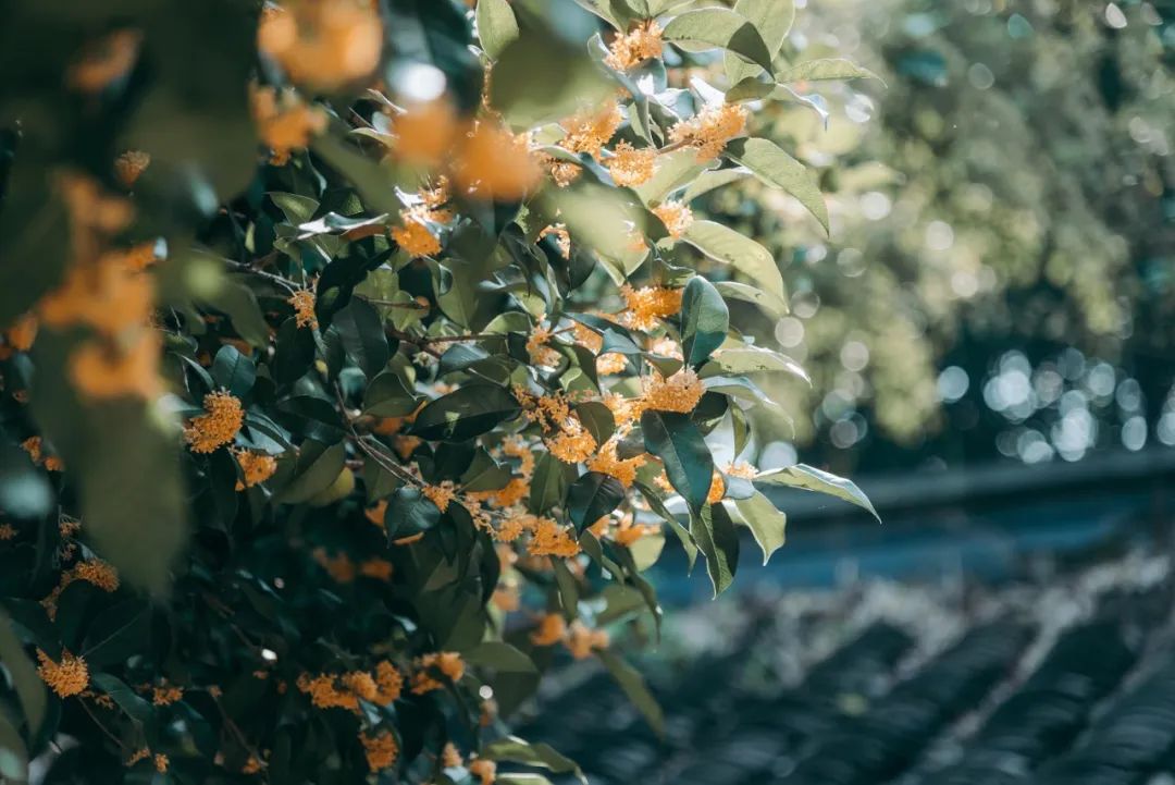 1675701694193320.jpg 微信圖片_20221026222437.jpg