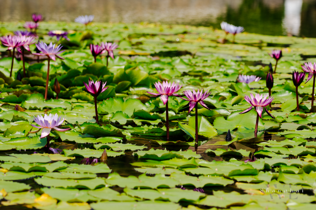 1676584126100703.png 微信圖片_20230217054729.png