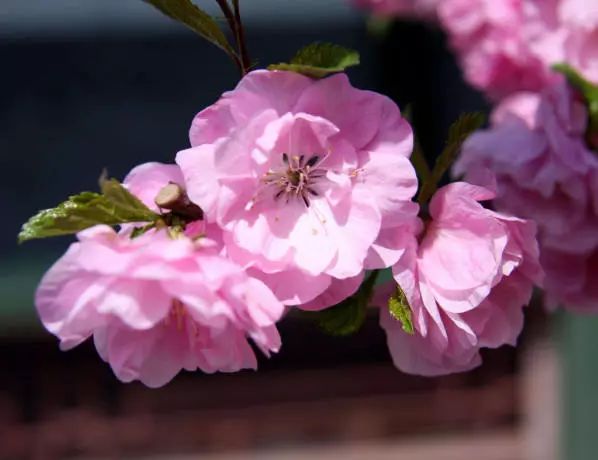 1676584283458019.jpg 微信圖片_20230207004536.jpg