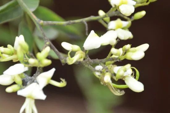 1676894934633714.jpg 微信圖片_20221025220218.jpg