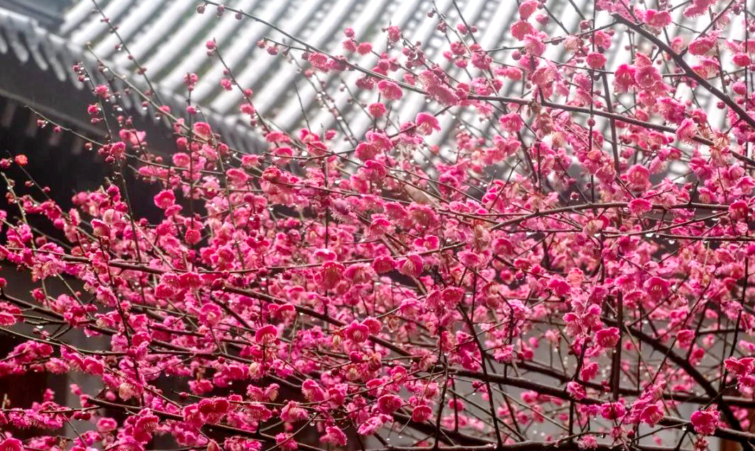 1676895289318345.jpg 微信圖片_20230108124128.jpg