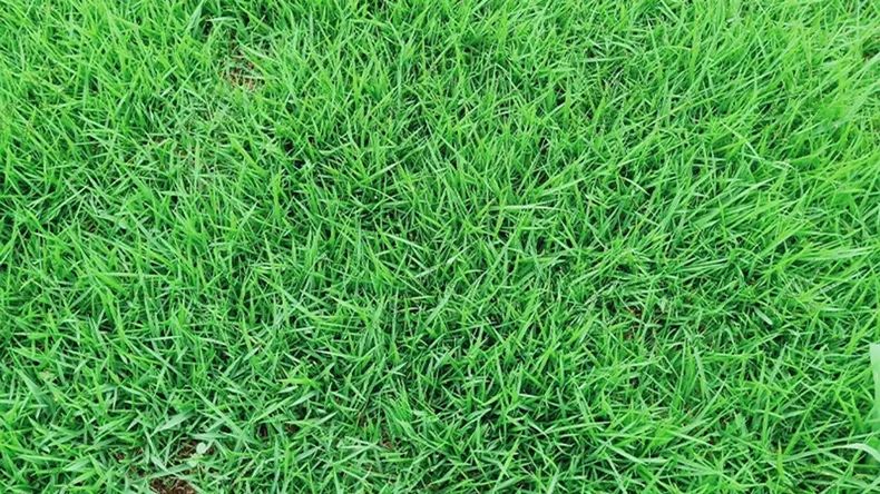 1676895725507642.jpg 微信圖片_20221029232544.jpg