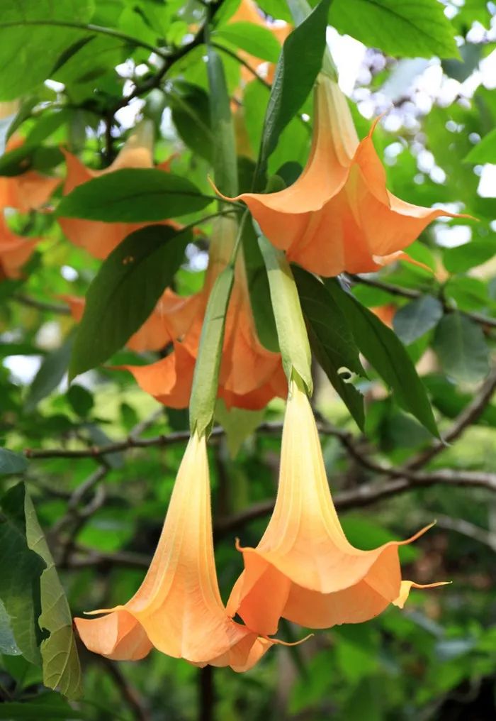 1676896257422340.jpg 微信圖片_20230220202942.jpg